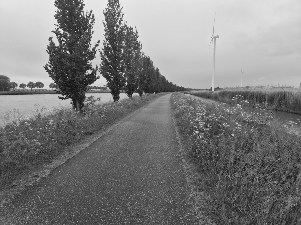Last run